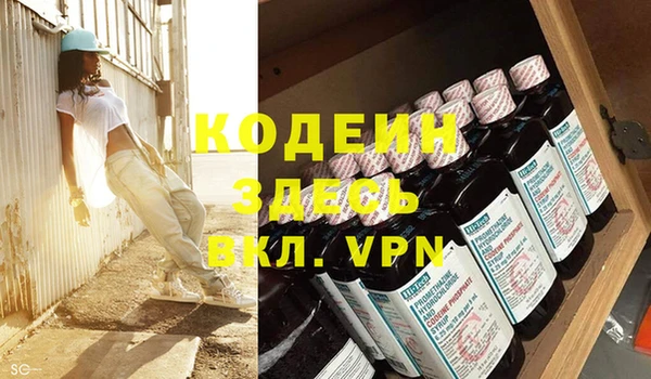 дмт Богданович