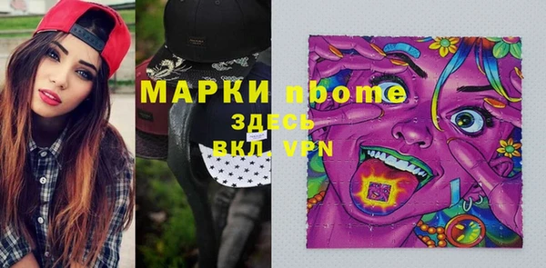 дмт Богданович