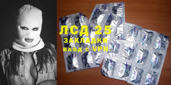 дмт Богданович