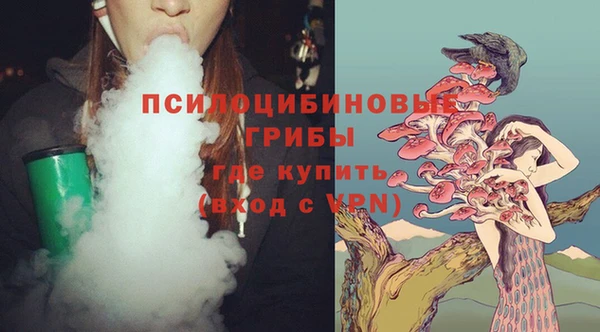 тгк Магас