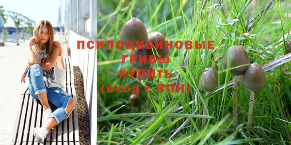 бошки Богородицк