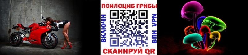 KRAKEN ССЫЛКА  Вилючинск  Псилоцибиновые грибы Cubensis  где купить  